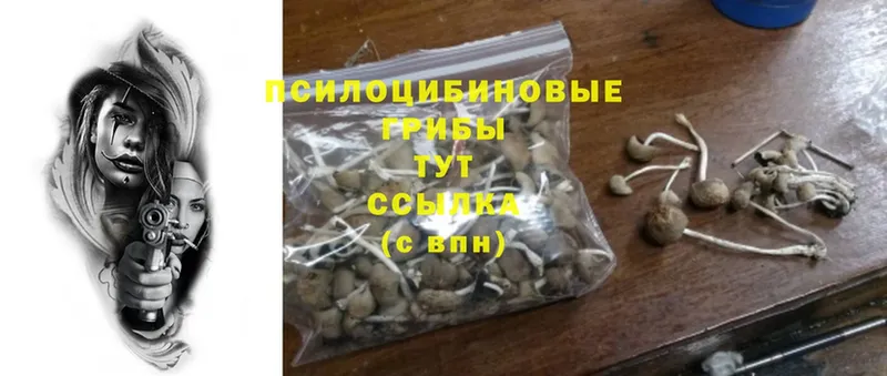 Псилоцибиновые грибы Magic Shrooms  Краснозаводск 